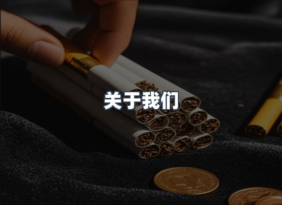 专业团队